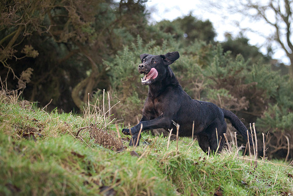 JohnGilchrist is a Scottish based photography service open to clients looking for photographers in Edinburgh.