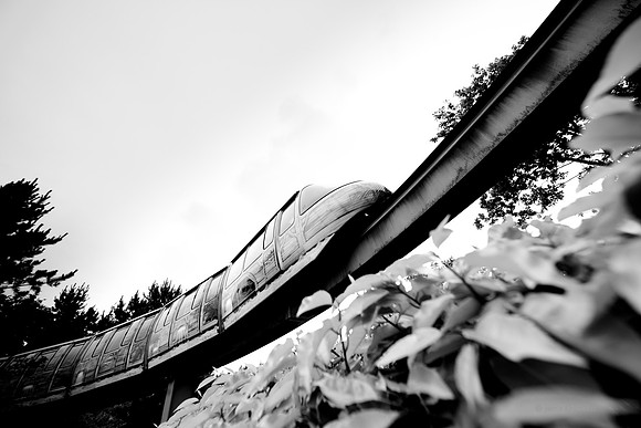 JG is a Scottish based photography service open to clients looking for professional photographers in Edinburgh.