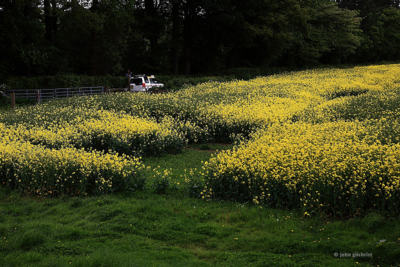 Edinburgh Photography Services: Edinburgh photographer John Gilchrist JG0172