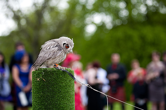 John Gilchrist Edinburgh wedding photographer at Haddo House | Wedding of Joyce and Rik JR1326