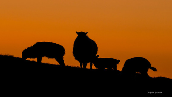 Wales UK related, may contain people, places, and locations in Wales, photography by John Gilchrist