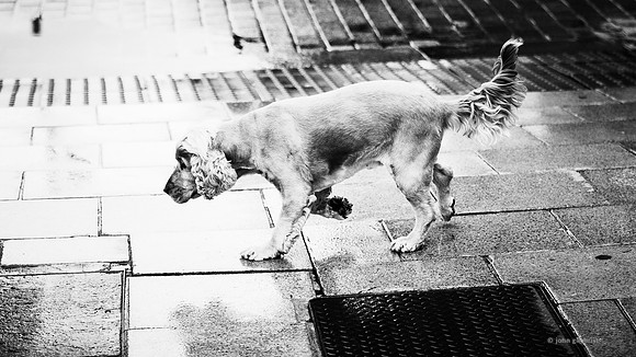 May contain street scenes with people in Edinburgh street photography
