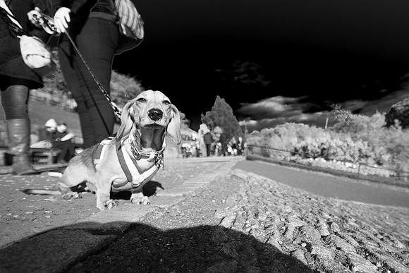 May contain street scenes with people in Edinburgh street photography