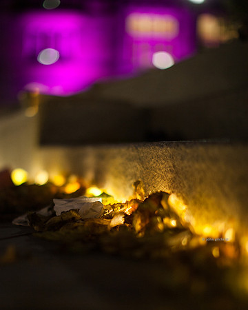 May include the best photography location in The City of Edinburgh