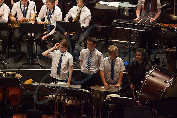 Festival of Music, Midlothian Schools Instrumental Music Service, Usher Hall, Edinburgh Photo 0040