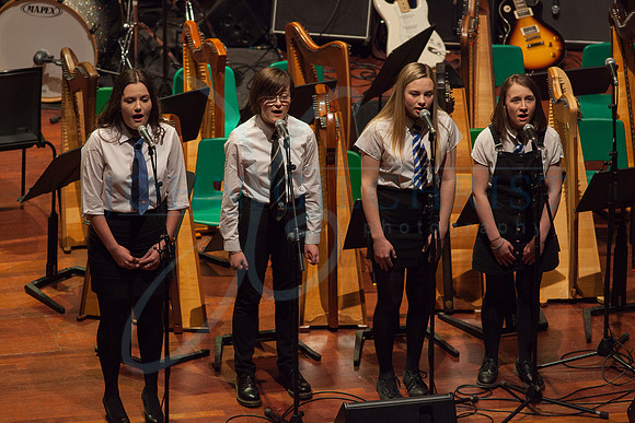 Festival of Music, Midlothian Schools Instrumental Music Service, Usher Hall, Edinburgh Photo 0052