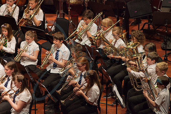Festival of Music, Midlothian Schools Instrumental Music Service, Usher Hall, Edinburgh Photo 0062