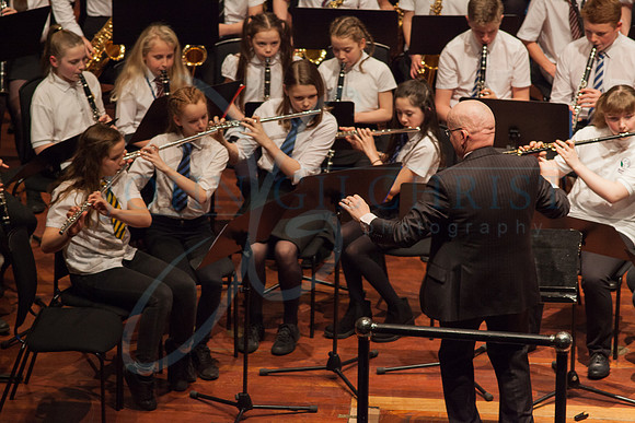 Festival of Music, Midlothian Schools Instrumental Music Service, Usher Hall, Edinburgh Photo 0068