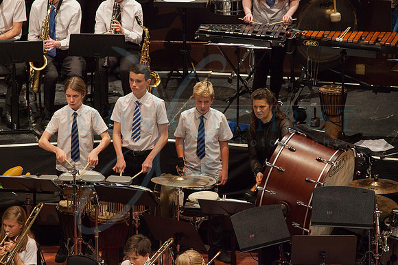 Festival of Music, Midlothian Schools Instrumental Music Service, Usher Hall, Edinburgh Photo 0076