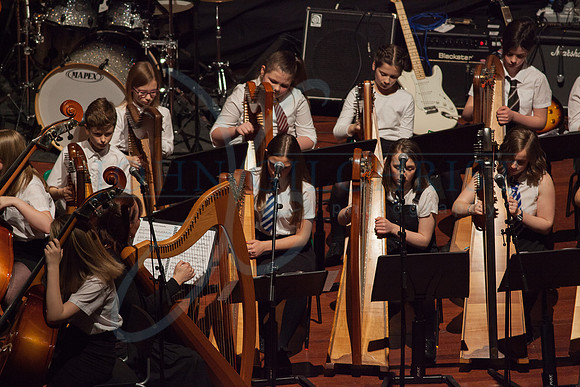 Festival of Music, Midlothian Schools Instrumental Music Service, Usher Hall, Edinburgh Photo 0084