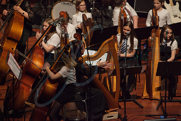 Festival of Music, Midlothian Schools Instrumental Music Service, Usher Hall, Edinburgh Photo 0087