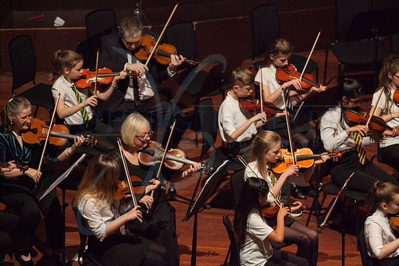 Festival of Music, Midlothian Schools Instrumental Music Service, Usher Hall, Edinburgh Photo 0089
