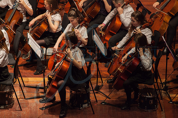 Festival of Music, Midlothian Schools Instrumental Music Service, Usher Hall, Edinburgh Photo 0098