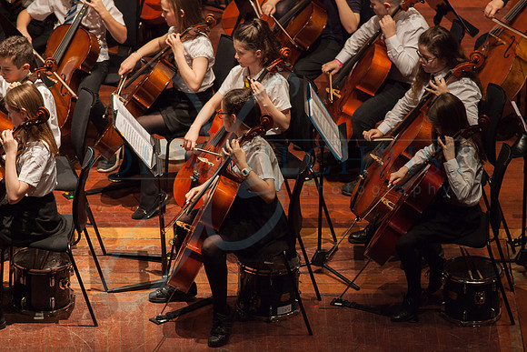 Festival of Music, Midlothian Schools Instrumental Music Service, Usher Hall, Edinburgh Photo 0099