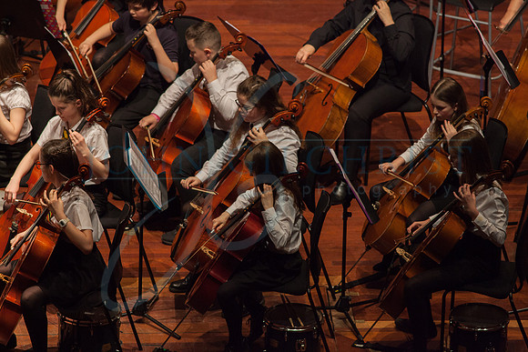 Festival of Music, Midlothian Schools Instrumental Music Service, Usher Hall, Edinburgh Photo 0100