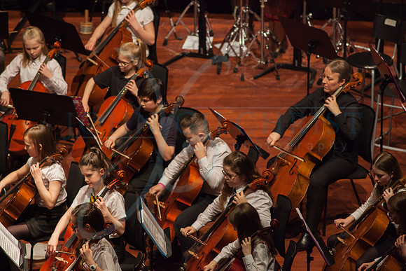 Festival of Music, Midlothian Schools Instrumental Music Service, Usher Hall, Edinburgh Photo 0101