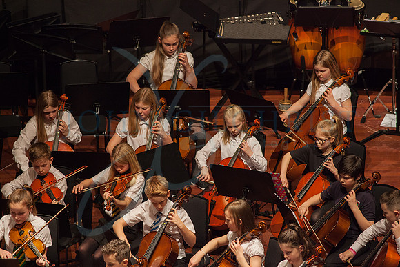 Festival of Music, Midlothian Schools Instrumental Music Service, Usher Hall, Edinburgh Photo 0102