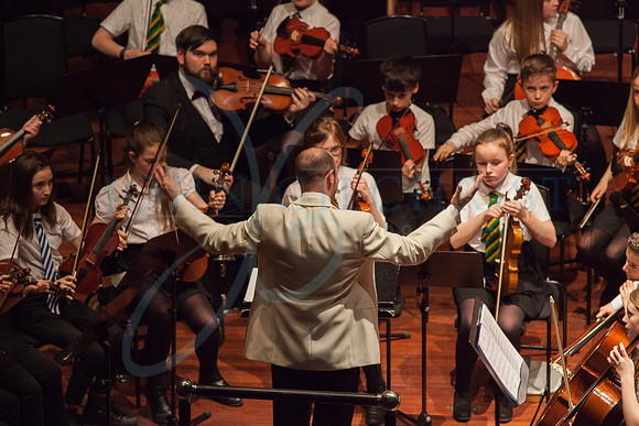 Festival of Music, Midlothian Schools Instrumental Music Service, Usher Hall, Edinburgh Photo 0117