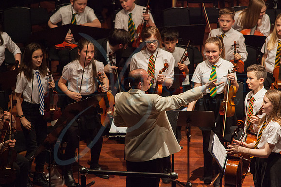 Festival of Music, Midlothian Schools Instrumental Music Service, Usher Hall, Edinburgh Photo 0118