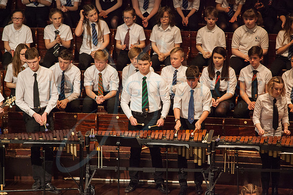 Festival of Music, Midlothian Schools Instrumental Music Service, Usher Hall, Edinburgh Photo 0153