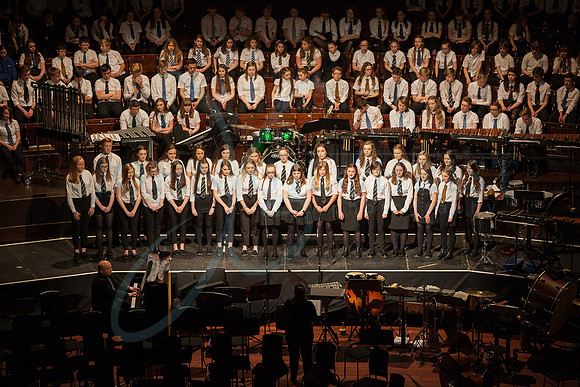 Festival of Music, Midlothian Schools Instrumental Music Service, Usher Hall, Edinburgh Photo 0162