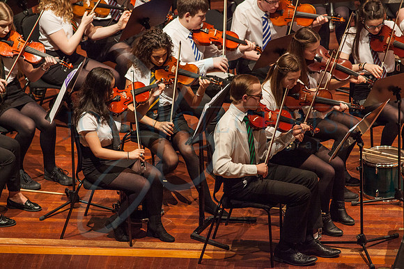 Festival of Music, Midlothian Schools Instrumental Music Service, Usher Hall, Edinburgh Photo 0197