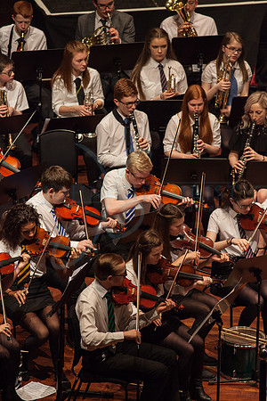 Festival of Music, Midlothian Schools Instrumental Music Service, Usher Hall, Edinburgh Photo 0204