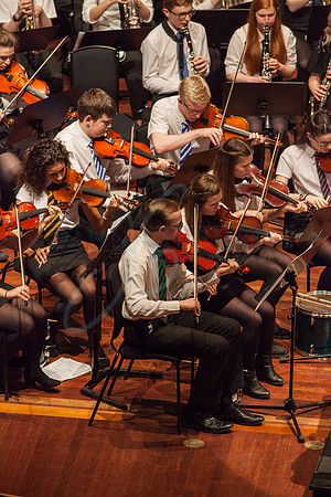 Festival of Music, Midlothian Schools Instrumental Music Service, Usher Hall, Edinburgh Photo 0205