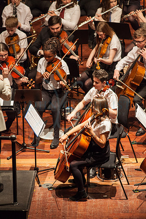 Festival of Music, Midlothian Schools Instrumental Music Service, Usher Hall, Edinburgh Photo 0208