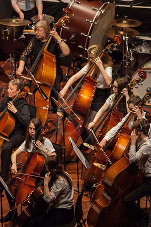 Festival of Music, Midlothian Schools Instrumental Music Service, Usher Hall, Edinburgh Photo 0210