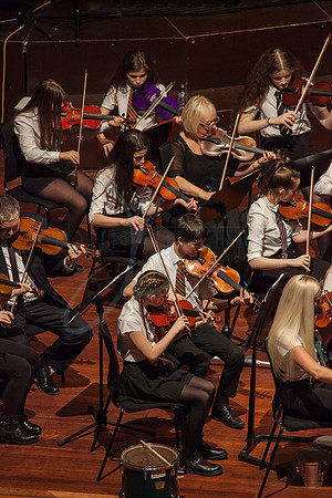 Festival of Music, Midlothian Schools Instrumental Music Service, Usher Hall, Edinburgh Photo 0215