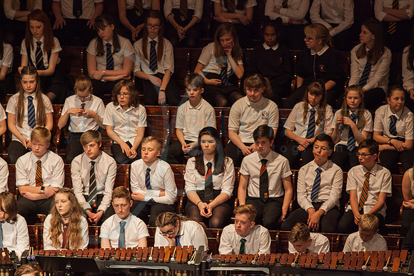 Festival of Music, Midlothian Schools Instrumental Music Service, Usher Hall, Edinburgh Photo 0216