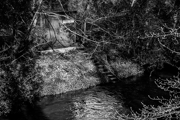 Edinburgh Photography Services, John Gilchrist, Midlothian Photos, Oakwood in Dalkeith Country Park 18-0008