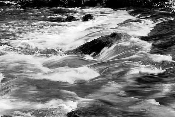 Edinburgh Photography Services, John Gilchrist, Midlothian Photos, Oakwood in Dalkeith Country Park 18-0009