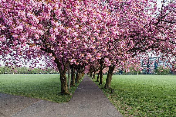 May contain scenes, and beautiful views from Edinburgh UK