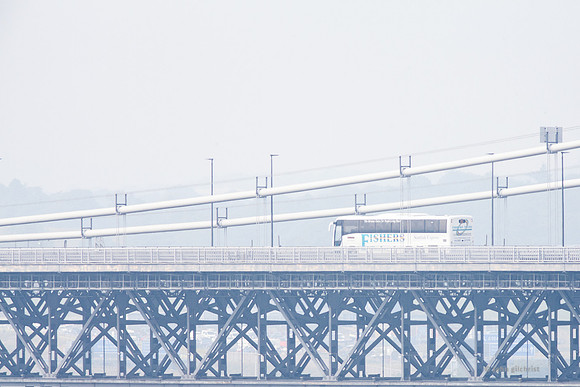 Something fishy on the Forth Road Bridge IMG180626TheForthBridges0001JG