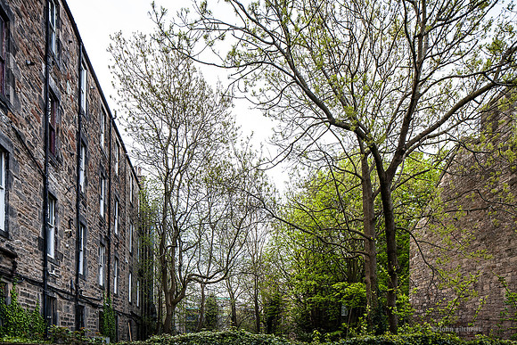 May contain scenes of photography locations, beautiful views, and visual references of Edinburgh UK.