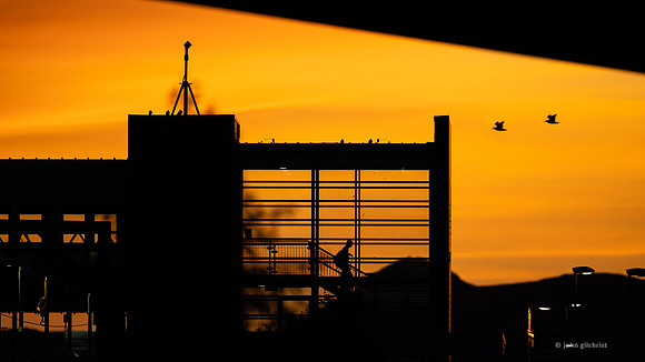 May contain scenes of city locations, beautiful views, and visual references of Edinburgh UK.