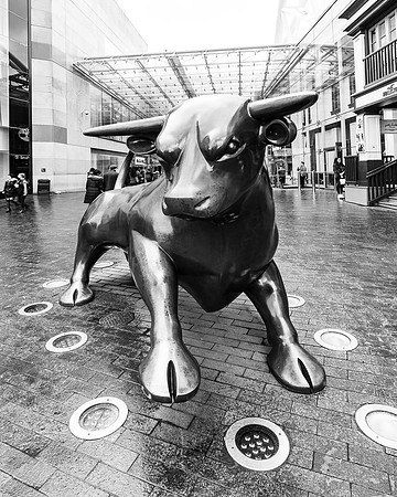Photos from the Street | Birmingham, England | The Bull