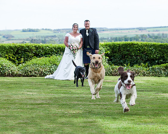 May offer ideas for choosing your wedding photographer in Scotland