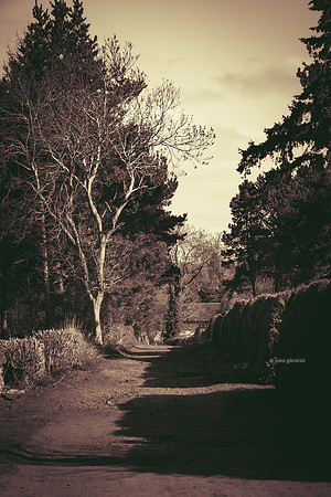 Edinburgh Photography Services, John Gilchrist, Bonnyrigg Photos 20-0053