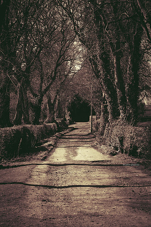 Edinburgh Photography Services, John Gilchrist, Bonnyrigg Photos 20-0054