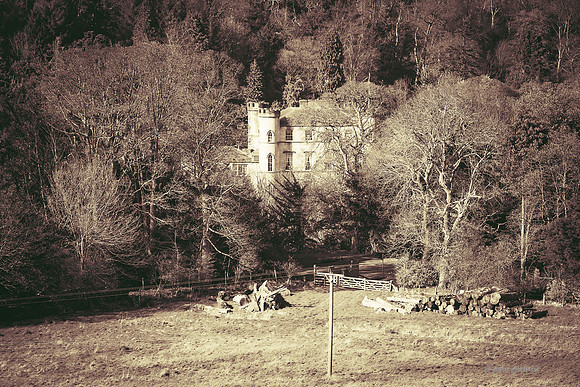 Edinburgh Photography Services, John Gilchrist, Bonnyrigg Photos 20-0059
