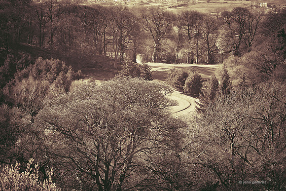Edinburgh Photography Services, John Gilchrist, Bonnyrigg Photos 20-0066