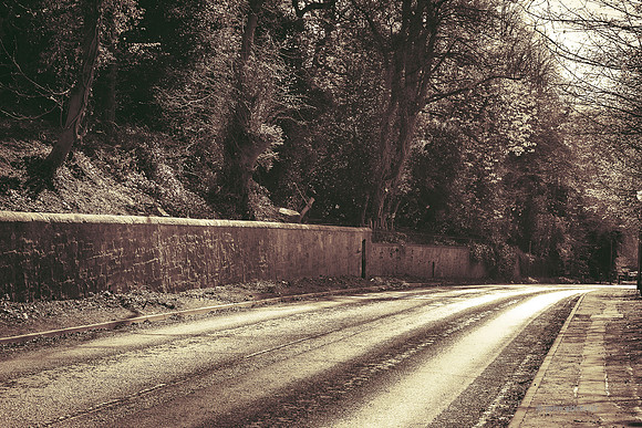Edinburgh Photography Services, John Gilchrist, Bonnyrigg Photos 20-0072