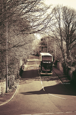 Edinburgh Photography Services, John Gilchrist, Midlothian Photos Lasswade 20-0018
