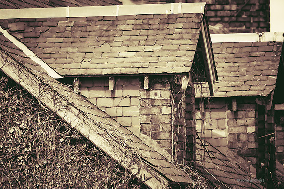 Edinburgh Photography Services, John Gilchrist, Midlothian Photos Newtongrange 20-0011