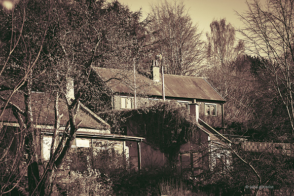 Edinburgh Photography Services, John Gilchrist, Midlothian Photos Lasswade 20-0053