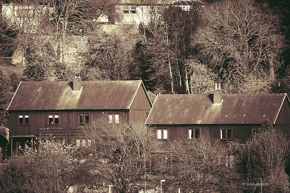 Edinburgh Photography Services, John Gilchrist, Midlothian Photos Lasswade 20-0082