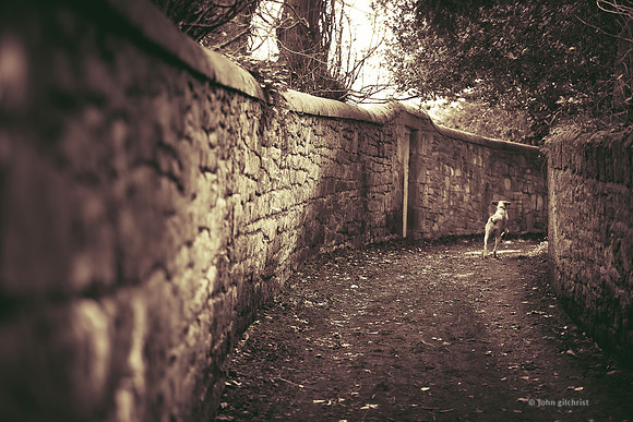 Edinburgh Photography Services, John Gilchrist, Midlothian Photos Lasswade 20-0091